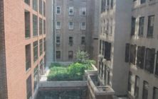 67 Spring Street Office Space - Window View