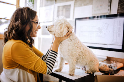 Pet-friendly office space in New York City: Woman playing with fluffy dog on desk