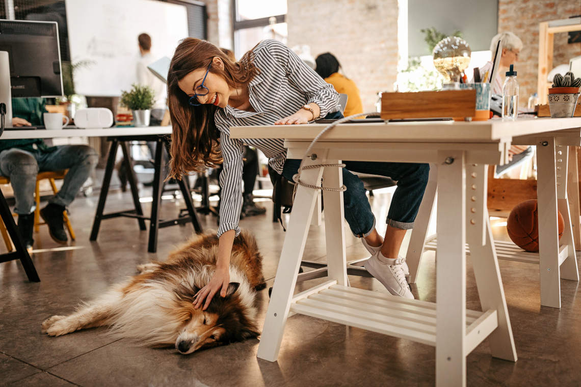 Woman petting her dog in a pet-friendly office space in New York City.