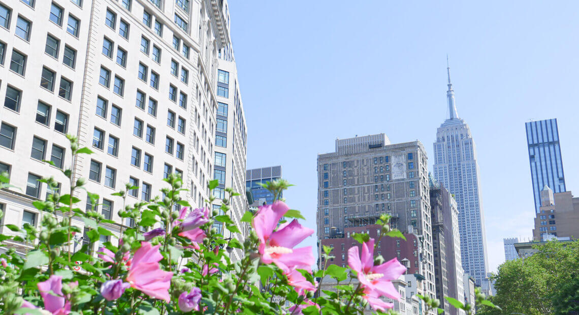 A view of the Manhattan skyline from Gramercy Park.