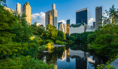 Central Park Pond in NYC, serene oasis amidst the bustling Manhattan office landscape.